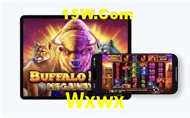 Experiência VIP Wxwx